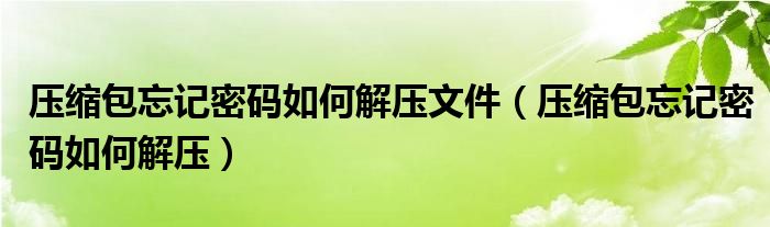 压缩包忘记密码如何解压文件（压缩包忘记密码如何解压）