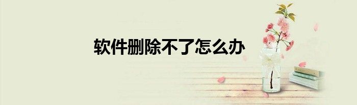 软件删除不了怎么办