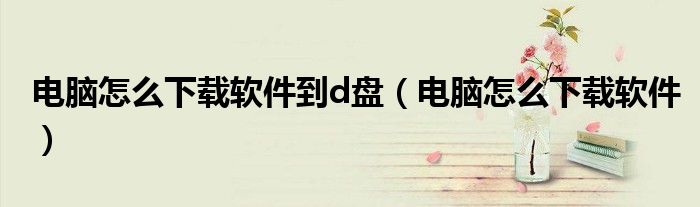 电脑怎么下载软件到d盘（电脑怎么下载软件）