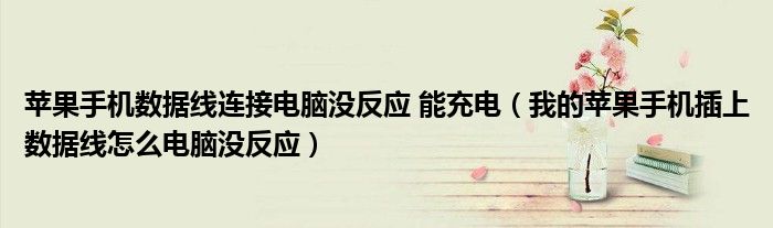 苹果手机数据线连接电脑没反应 能充电（我的苹果手机插上数据线怎么电脑没反应）