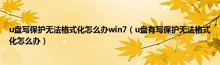 u盘写保护无法格式化怎么办win7（u盘有写保护无法格式化怎么办）