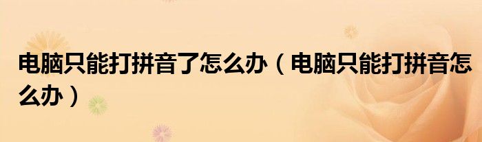电脑只能打拼音了怎么办（电脑只能打拼音怎么办）