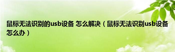 鼠标无法识别的usb设备 怎么解决（鼠标无法识别usb设备怎么办）