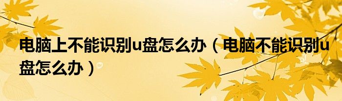 电脑上不能识别u盘怎么办（电脑不能识别u盘怎么办）