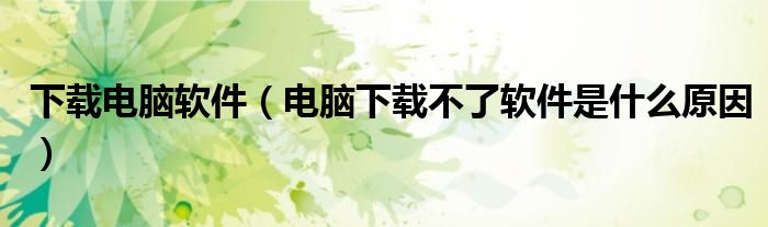 下载电脑软件（电脑下载不了软件是什么原因）