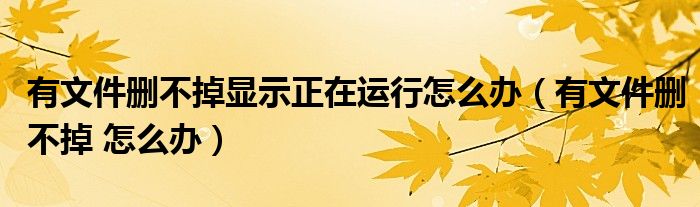 有文件删不掉显示正在运行怎么办（有文件删不掉 怎么办）