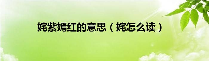 姹紫嫣红的意思（姹怎么读）