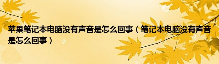 苹果笔记本电脑没有声音是怎么回事（笔记本电脑没有声音是怎么回事）