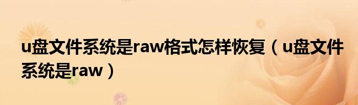 u盘文件系统是raw格式怎样恢复（u盘文件系统是raw）