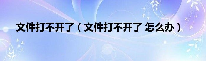 文件打不开了（文件打不开了 怎么办）