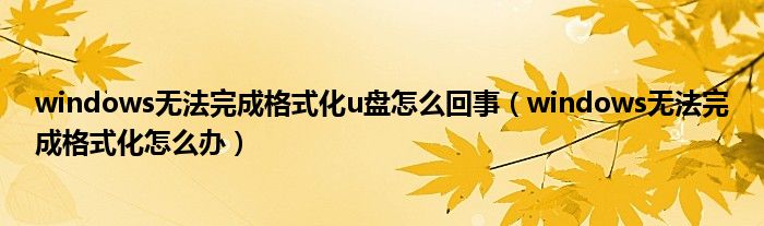 windows无法完成格式化u盘怎么回事（windows无法完成格式化怎么办）