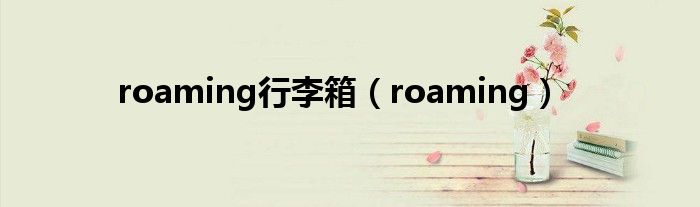 roaming行李箱（roaming）