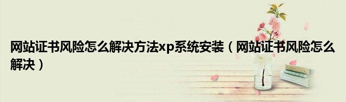 网站证书风险怎么解决方法xp系统安装（网站证书风险怎么解决）
