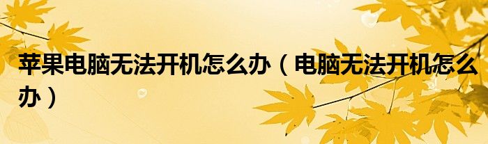 苹果电脑无法开机怎么办（电脑无法开机怎么办）