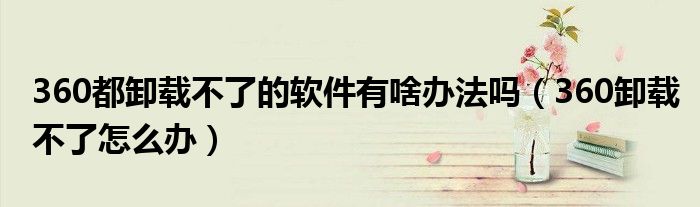 360都卸载不了的软件有啥办法吗（360卸载不了怎么办）