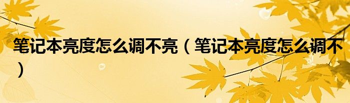 笔记本亮度怎么调不亮（笔记本亮度怎么调不）