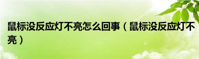 鼠标没反应灯不亮怎么回事（鼠标没反应灯不亮）