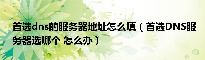 首选dns的服务器地址怎么填（首选DNS服务器选哪个 怎么办）