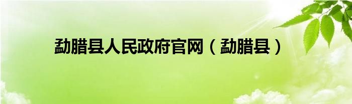 勐腊县人民政府官网（勐腊县）