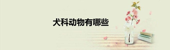 犬科动物有哪些