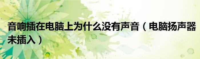 音响插在电脑上为什么没有声音（电脑扬声器未插入）