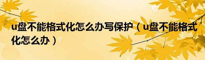 u盘不能格式化怎么办写保护（u盘不能格式化怎么办）