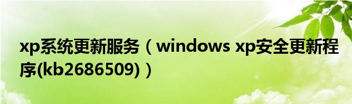 xp系统更新服务（windows xp安全更新程序(kb2686509)）