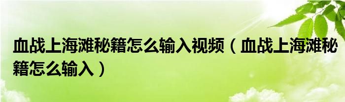血战上海滩秘籍怎么输入视频（血战上海滩秘籍怎么输入）