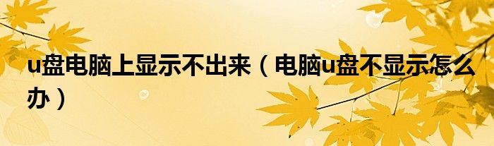 u盘电脑上显示不出来（电脑u盘不显示怎么办）