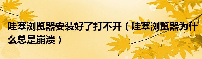 哇塞浏览器安装好了打不开（哇塞浏览器为什么总是崩溃）