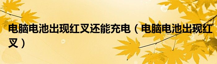 电脑电池出现红叉还能充电（电脑电池出现红叉）