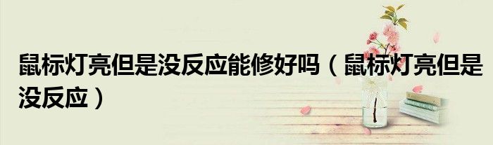 鼠标灯亮但是没反应能修好吗（鼠标灯亮但是没反应）