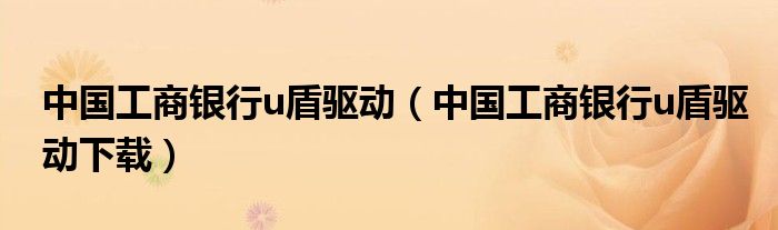 中国工商银行u盾驱动（中国工商银行u盾驱动下载）