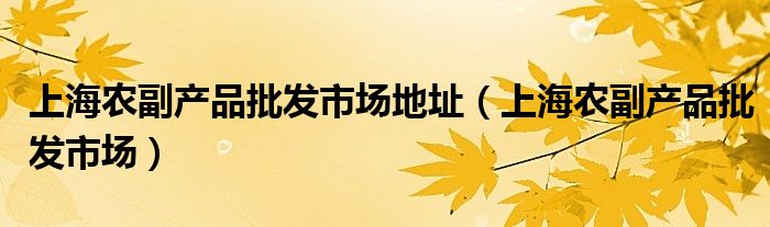 上海农副产品批发市场地址（上海农副产品批发市场）