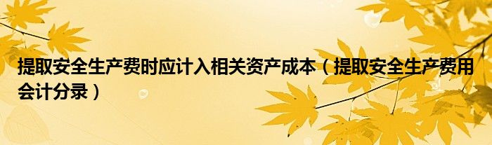 提取安全生产费时应计入相关资产成本（提取安全生产费用会计分录）