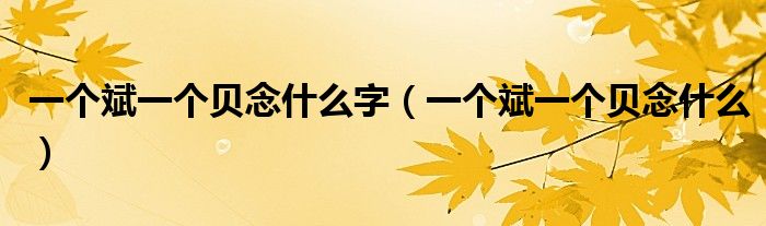 一个斌一个贝念什么字（一个斌一个贝念什么）