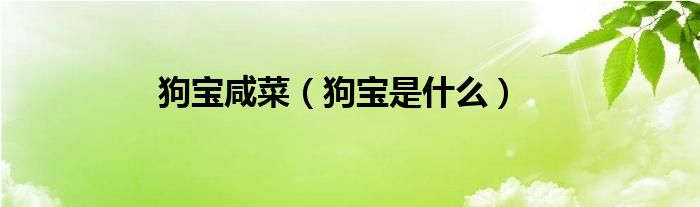 狗宝咸菜（狗宝是什么）