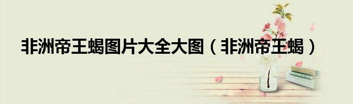 非洲帝王蝎图片大全大图（非洲帝王蝎）