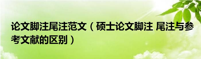 论文脚注尾注范文（硕士论文脚注 尾注与参考文献的区别）