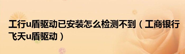 工行u盾驱动已安装怎么检测不到（工商银行飞天u盾驱动）