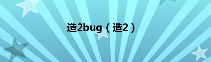 造2bug（造2）