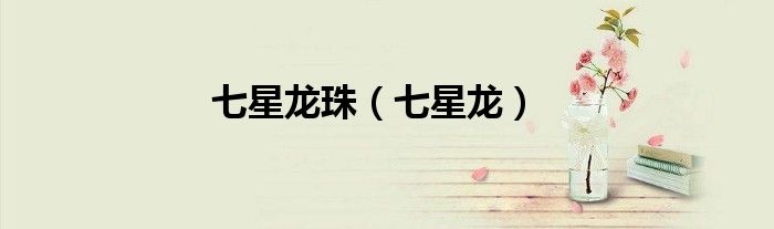七星龙珠（七星龙）