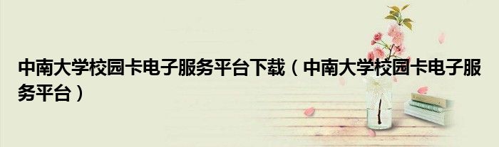 中南大学校园卡电子服务平台下载（中南大学校园卡电子服务平台）