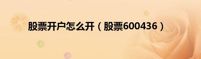 股票开户怎么开（股票600436）