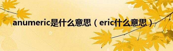 anumeric是什么意思（eric什么意思）