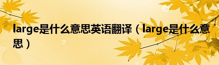 large是什么意思英语翻译（large是什么意思）