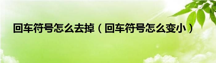 回车符号怎么去掉（回车符号怎么变小）