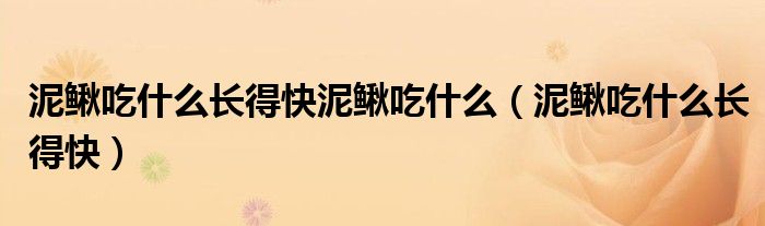 泥鳅吃什么长得快泥鳅吃什么（泥鳅吃什么长得快）