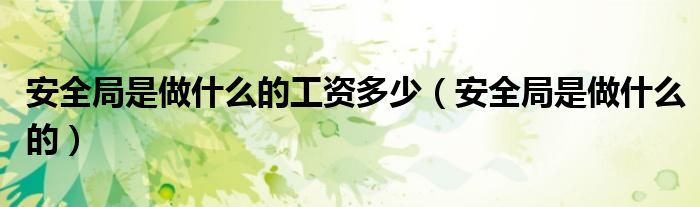 安全局是做什么的工资多少（安全局是做什么的）