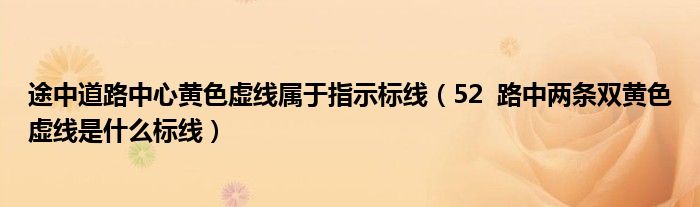 途中道路中心黄色虚线属于指示标线（52  路中两条双黄色虚线是什么标线）